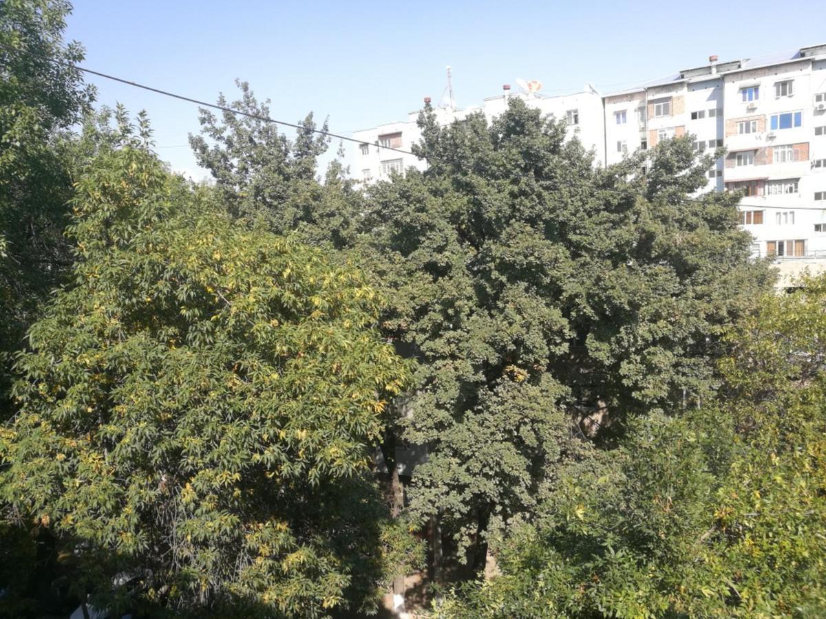 Apartment 2 Bed Room In The Center Апартамент 3-Х Комнатная В Центре Tashkent Luaran gambar